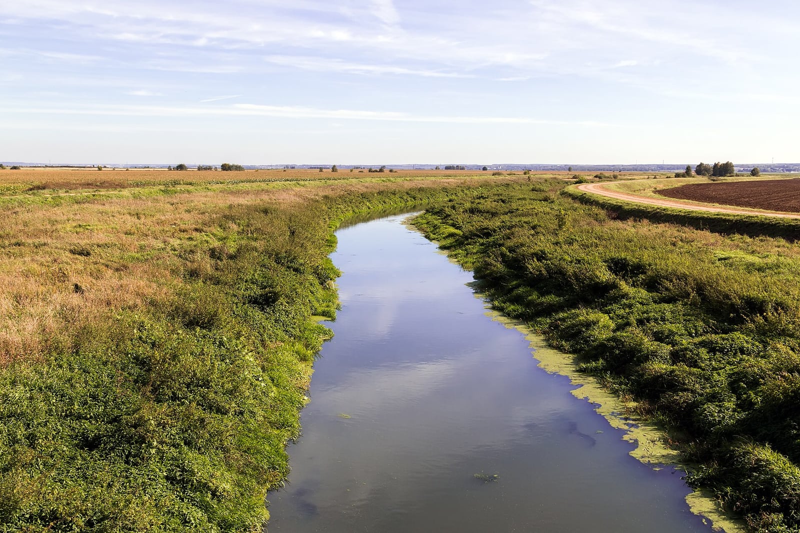 Яхрома, тихая вода и прибрежная трава